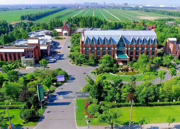 上海團建基地-小木屋